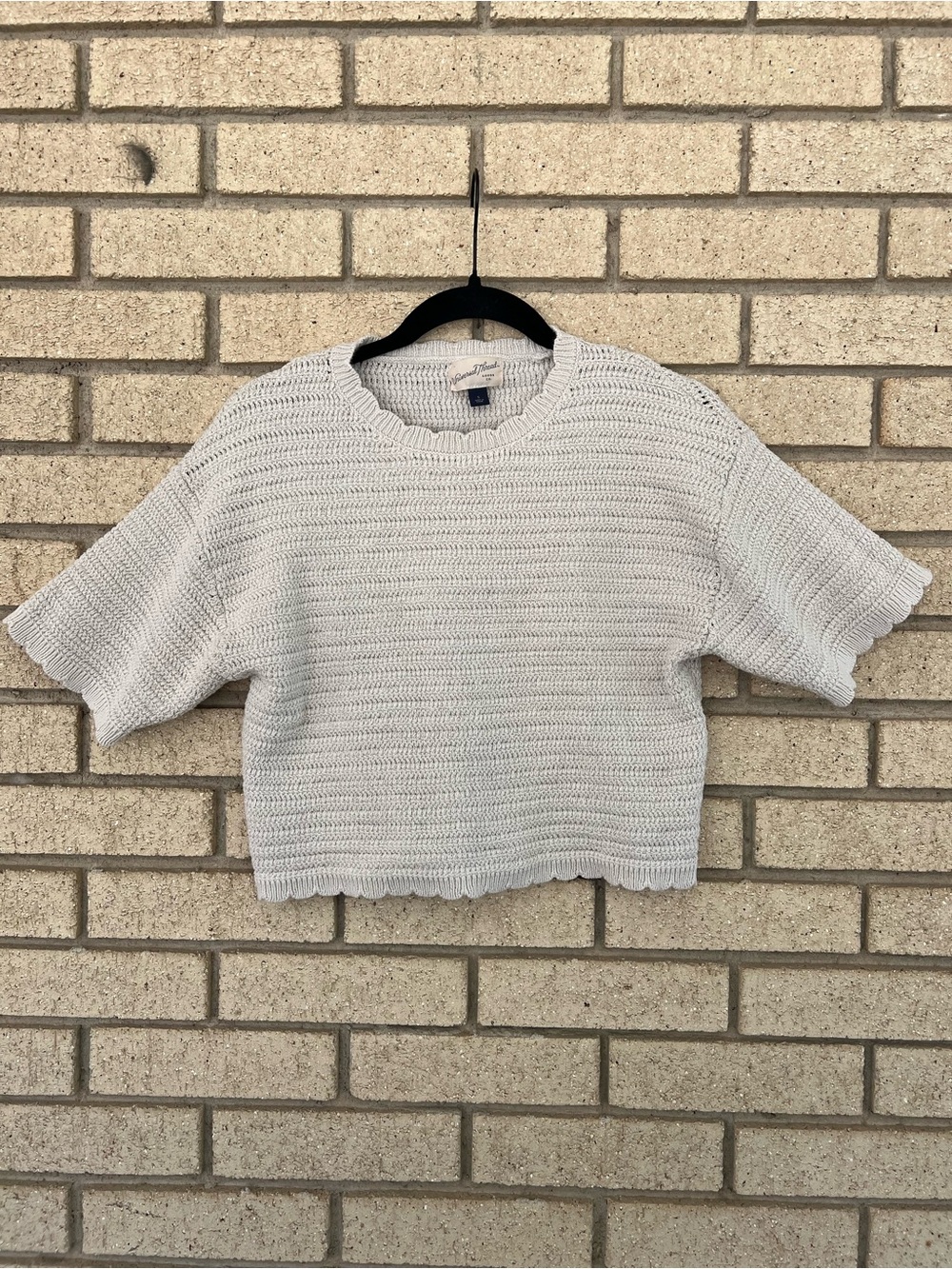 Universal Thread Cream Cropped Knit Top